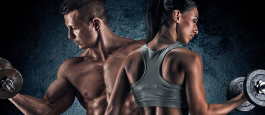 Fitness musculation